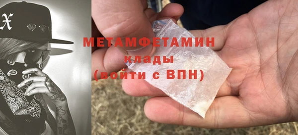 индика Каменка