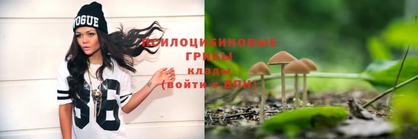 ALPHA-PVP Каменногорск