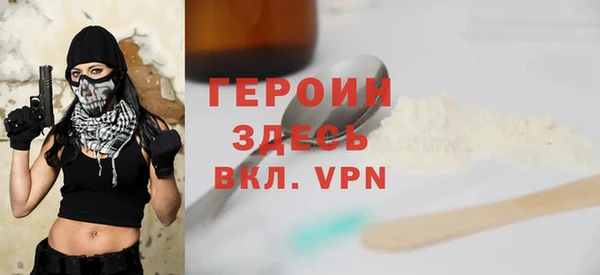 индика Каменка