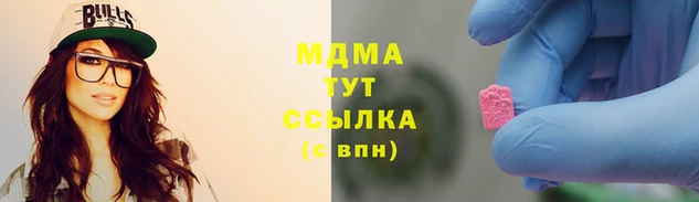 индика Каменка
