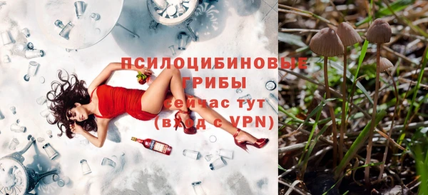 индика Каменка