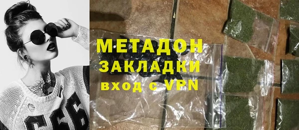 индика Каменка
