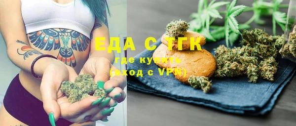 индика Каменка
