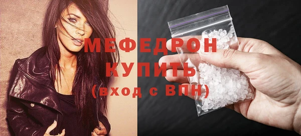 индика Каменка