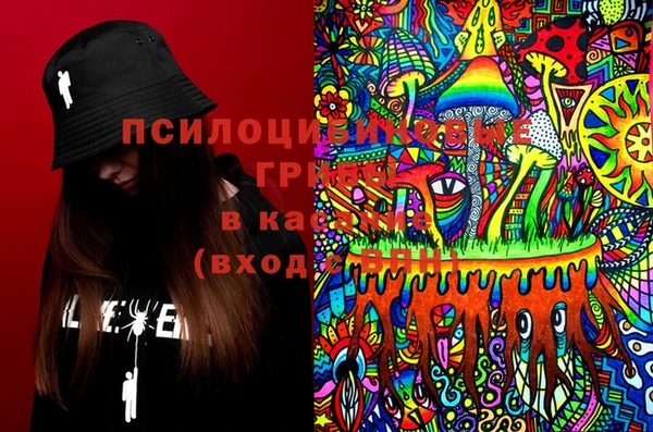 индика Каменка