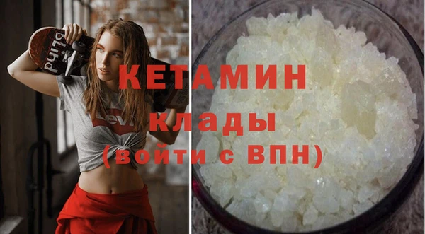 индика Каменка