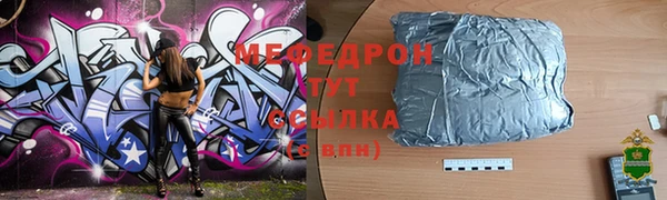 индика Каменка