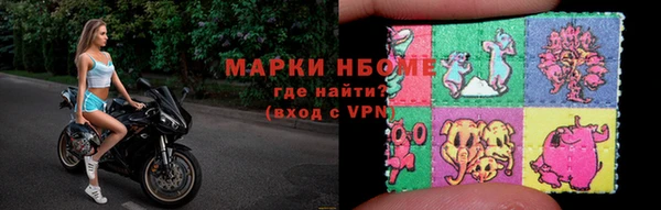 индика Каменка