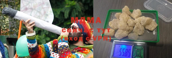 индика Каменка