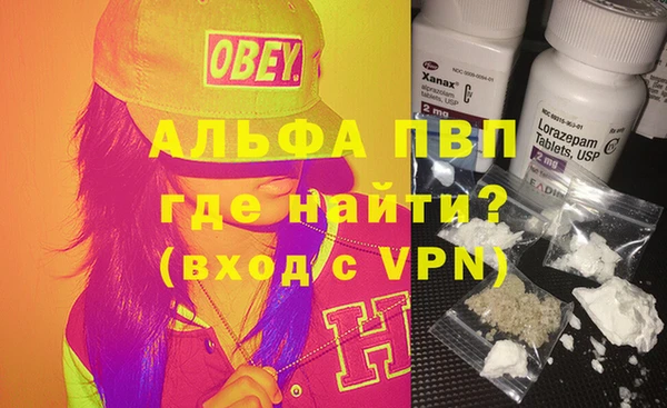 индика Каменка