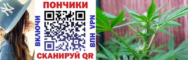 Купить  Клинцы  Канабис индика 